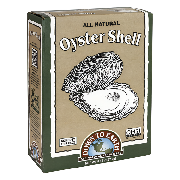 Down To Earth Oyster Shell