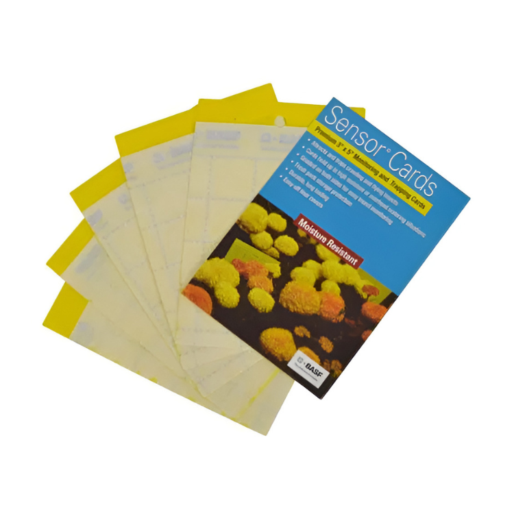 Sensor Cards Yellow Monitoring and Trapping Cards 50/Pack (15/Cs)