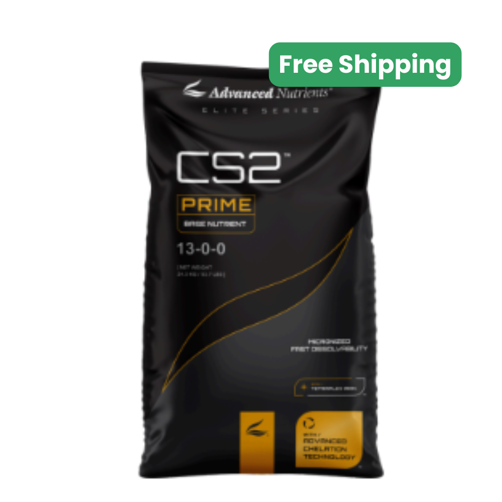 CS2 Prime 25lb