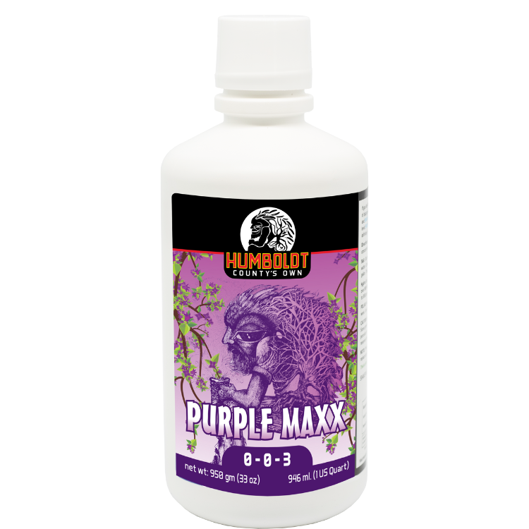 Humboldt County's Own Purple Maxx