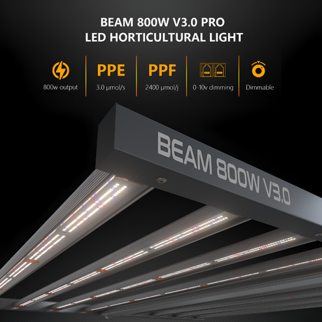 Platinum Beam LED 800w