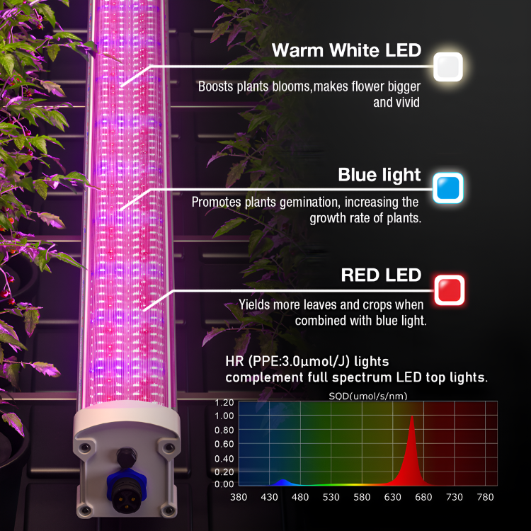 Syclops Led Platinum Cyclops 160w LED – Hydro City