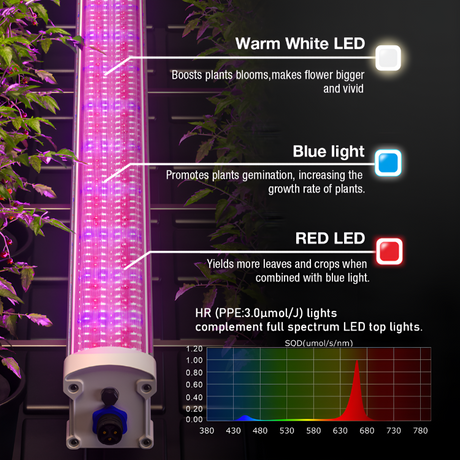 Platinum Cyclops 160w LED