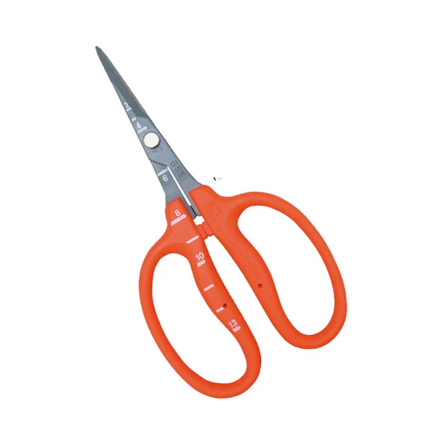 Chikamasa B-500SF (2 Pack)
