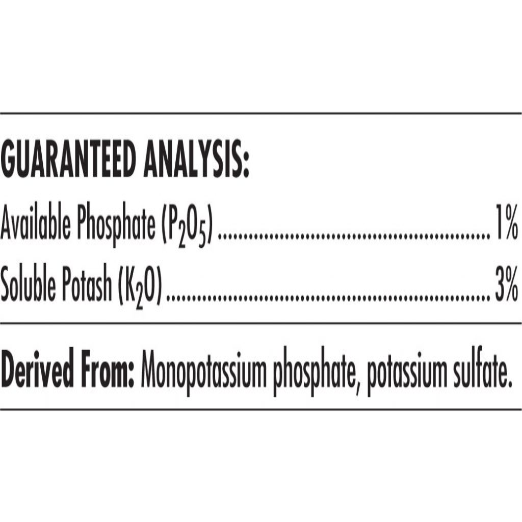 Advanced Nutrients Big Bud Liquid