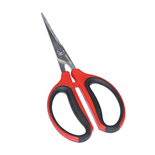 Bonsai Shears SS 60mm