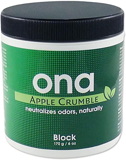 ONA Apple Crumble6 OZ