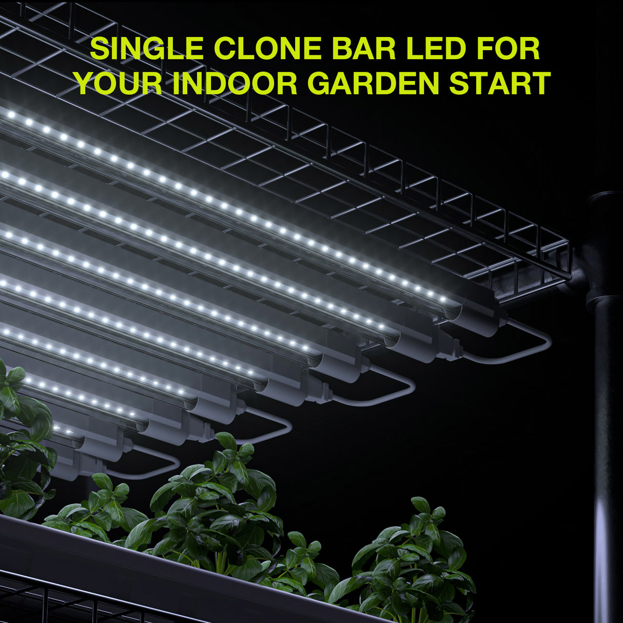 Platinum Horticulture Clone LED 18W Grow Light Fixture 6500K 120V 277V Propagation Seedling Light 2PACK