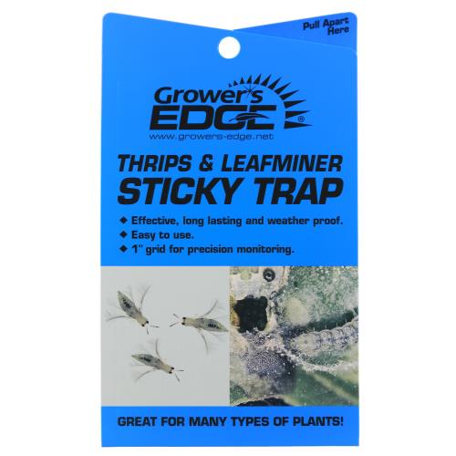 Sticky Thrip/Leafminer Traps 5p