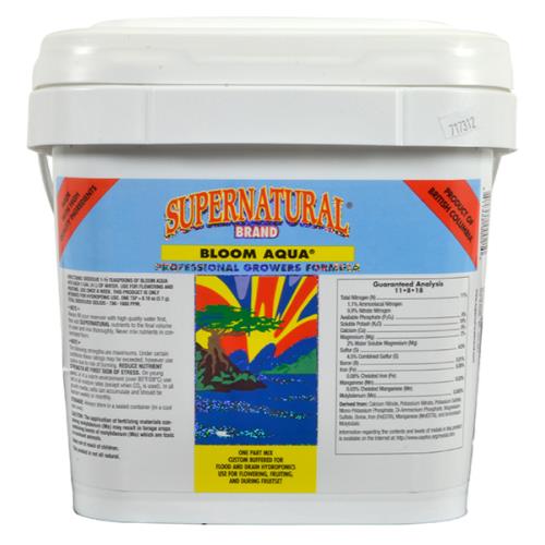 Supernatural Bloom Aqua