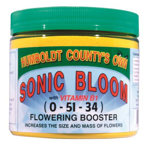 Humboldt County's Own Sonic Bloom