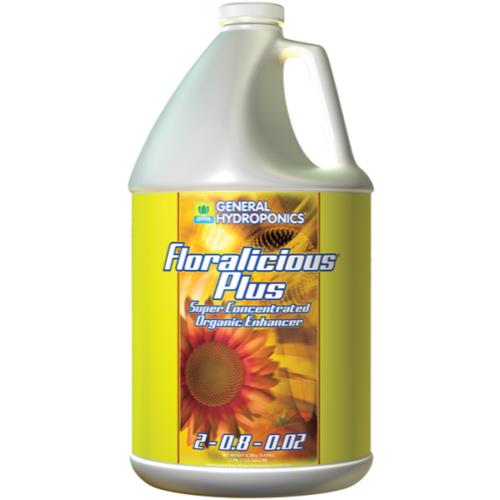 GH Floralicious Plus