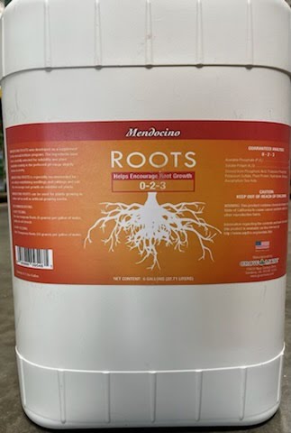 Mendo Roots